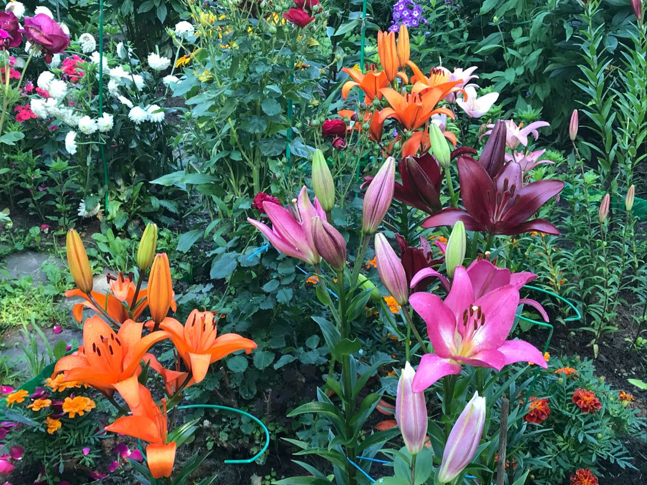 Территория экофермы Марии Гиппенрейтер. Эко отель Подмосковье. Эко отдых в Подмосковье в эко-отеле Марии Гиппенрейтер