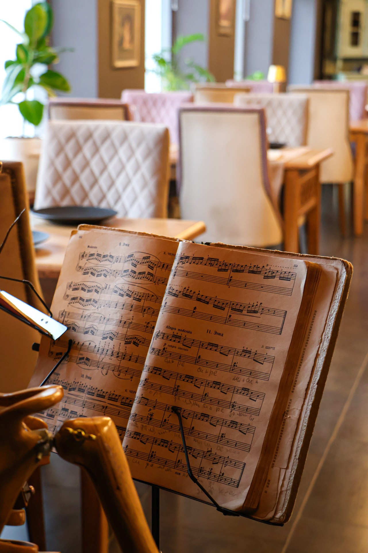 «Мишель» ресторан, г. Белокуриха. Контент фотограф Дмитрий Борисов