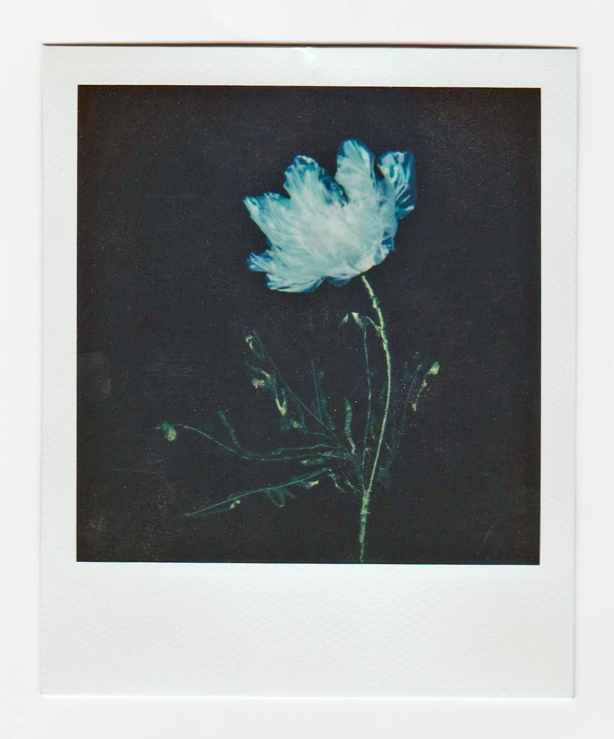 Transformation. WORKS