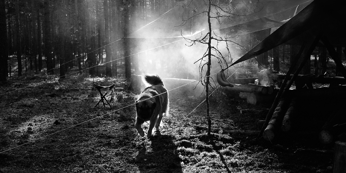 Внутри Радуги