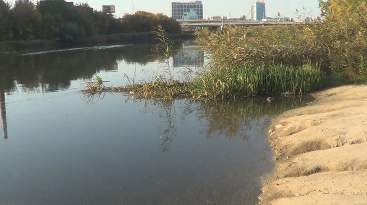 Очищение. Artist Oleg Semenovykh