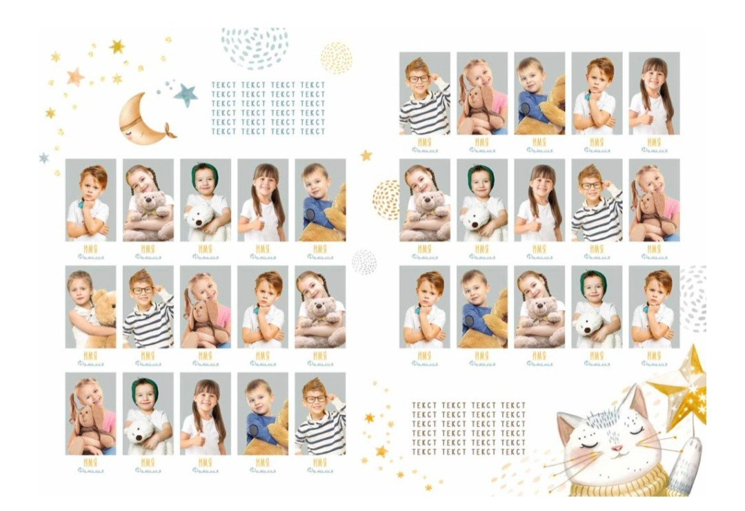 Золотой котик. Anna Gidros — профессиональный фотограф