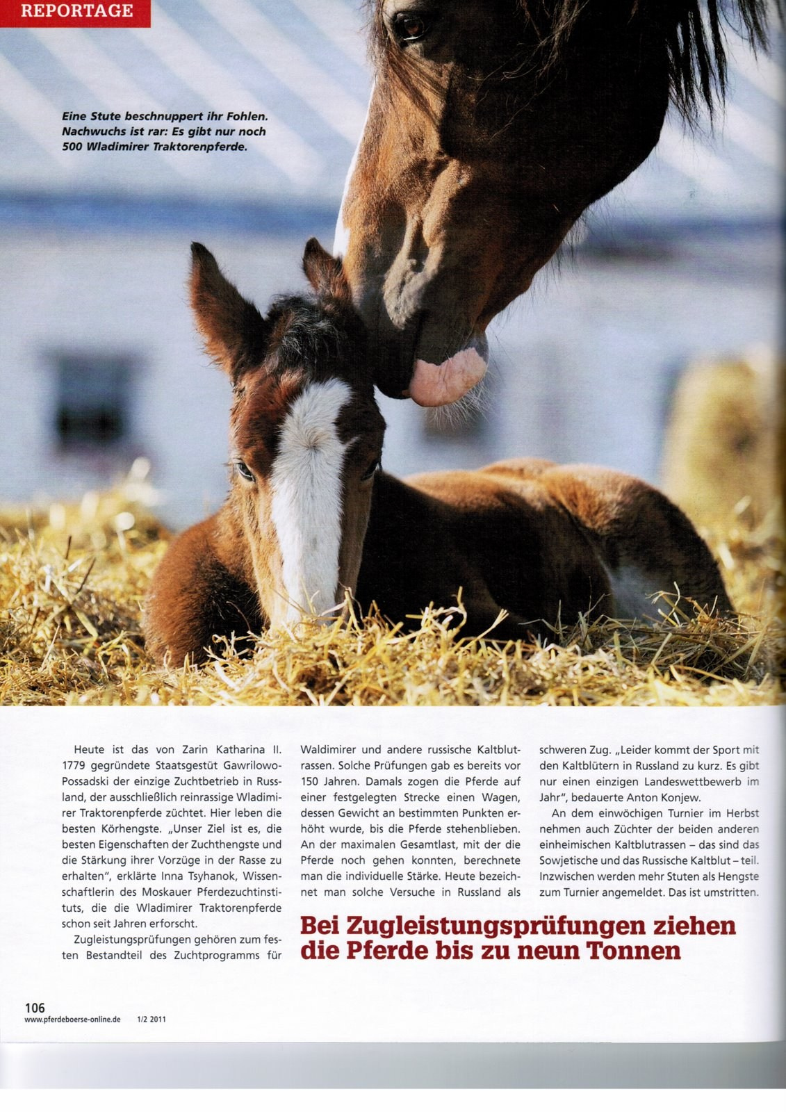 Публикации. Лана Петрова, фотограф