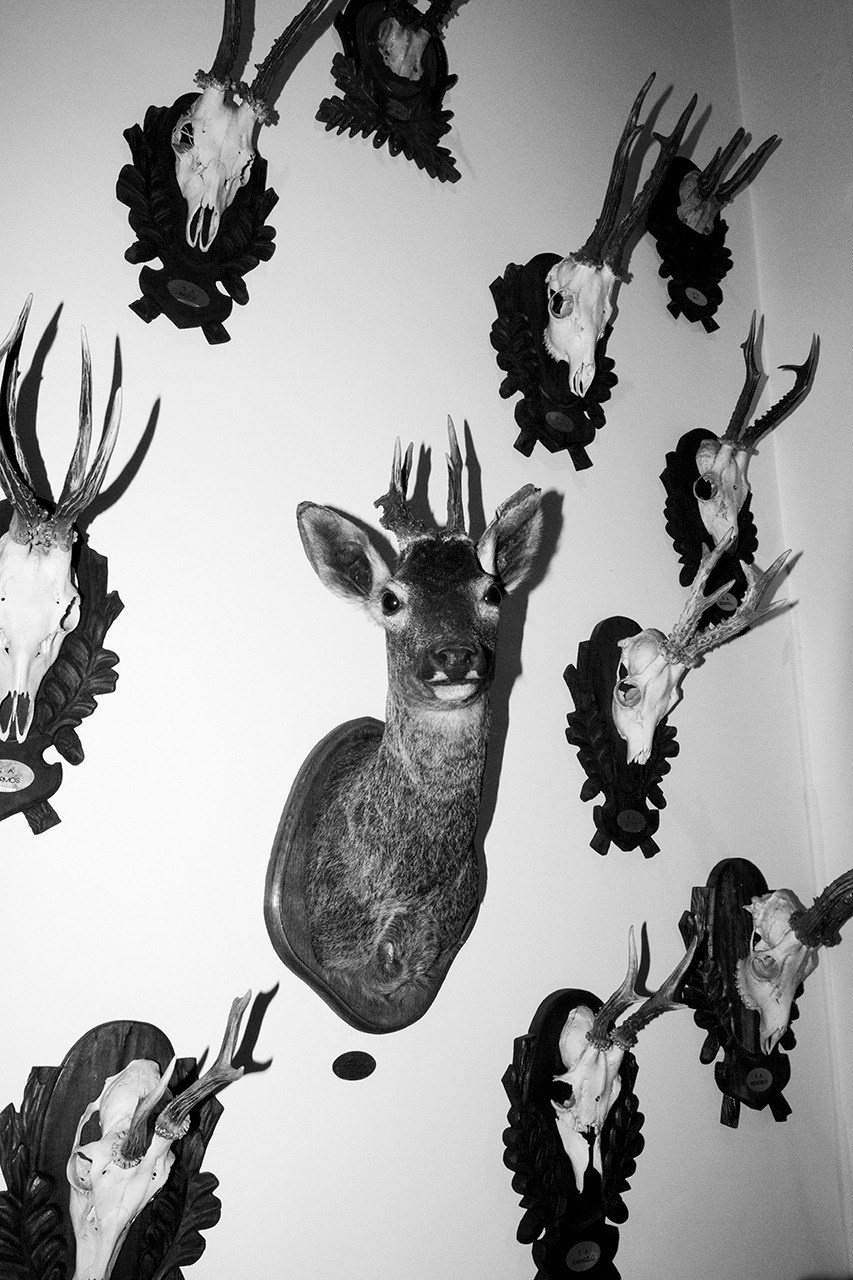 ОБЗОР АКТУАЛЬНЫХ ФОТОКНИГ: Porcelain and Wool. Самоорганизация Низина