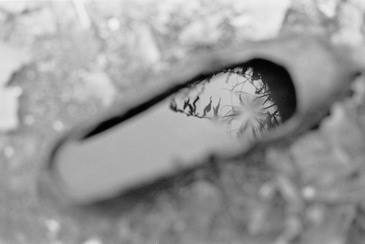 Художественные фотографии. Монохромная пленка 35 мм. Портретный и модельный фотограф в Иванове