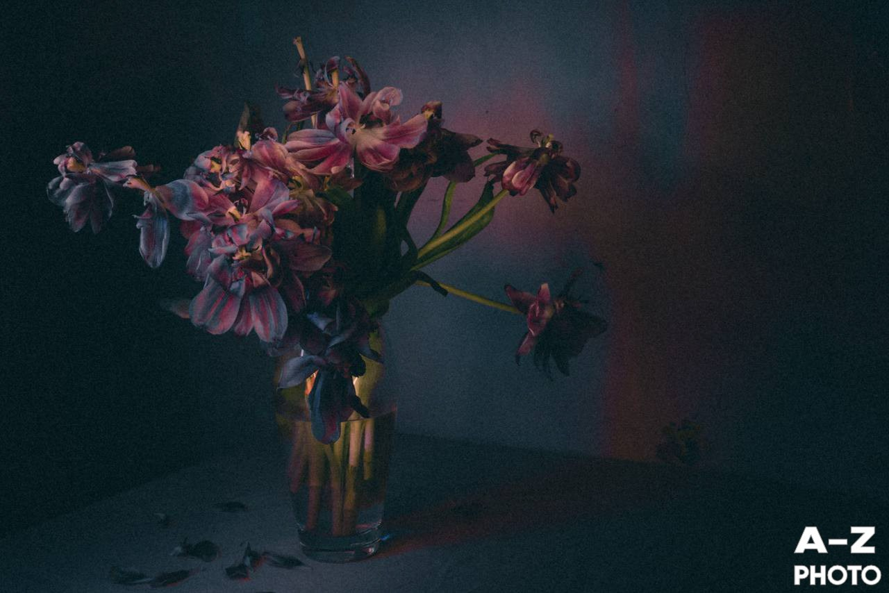 #ФОТОНЕДЕЛИ 23.03.2026. Женский семейный фотограф Тула Москва Захарова Анна