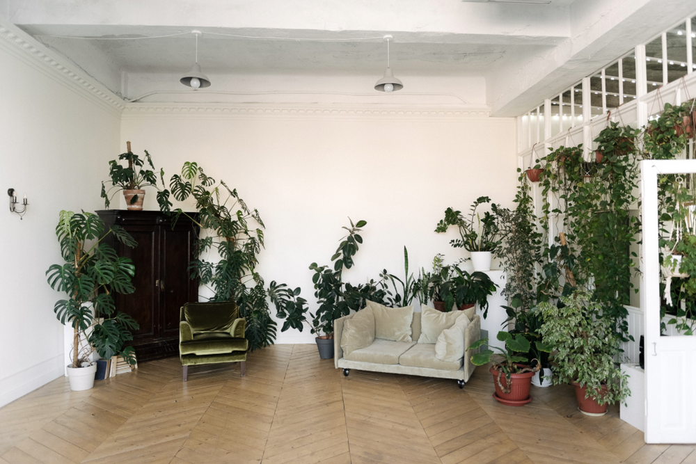 Фотостудии для свадебной фотосессии в Краснодаре. Свадебный фотограф и видеограф Краснодар, Ростов, Сочи, Новороссийск