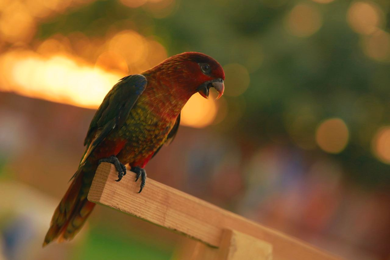 Эль-Джубайль. СА. 2025. Фотограф Михаил Олейник