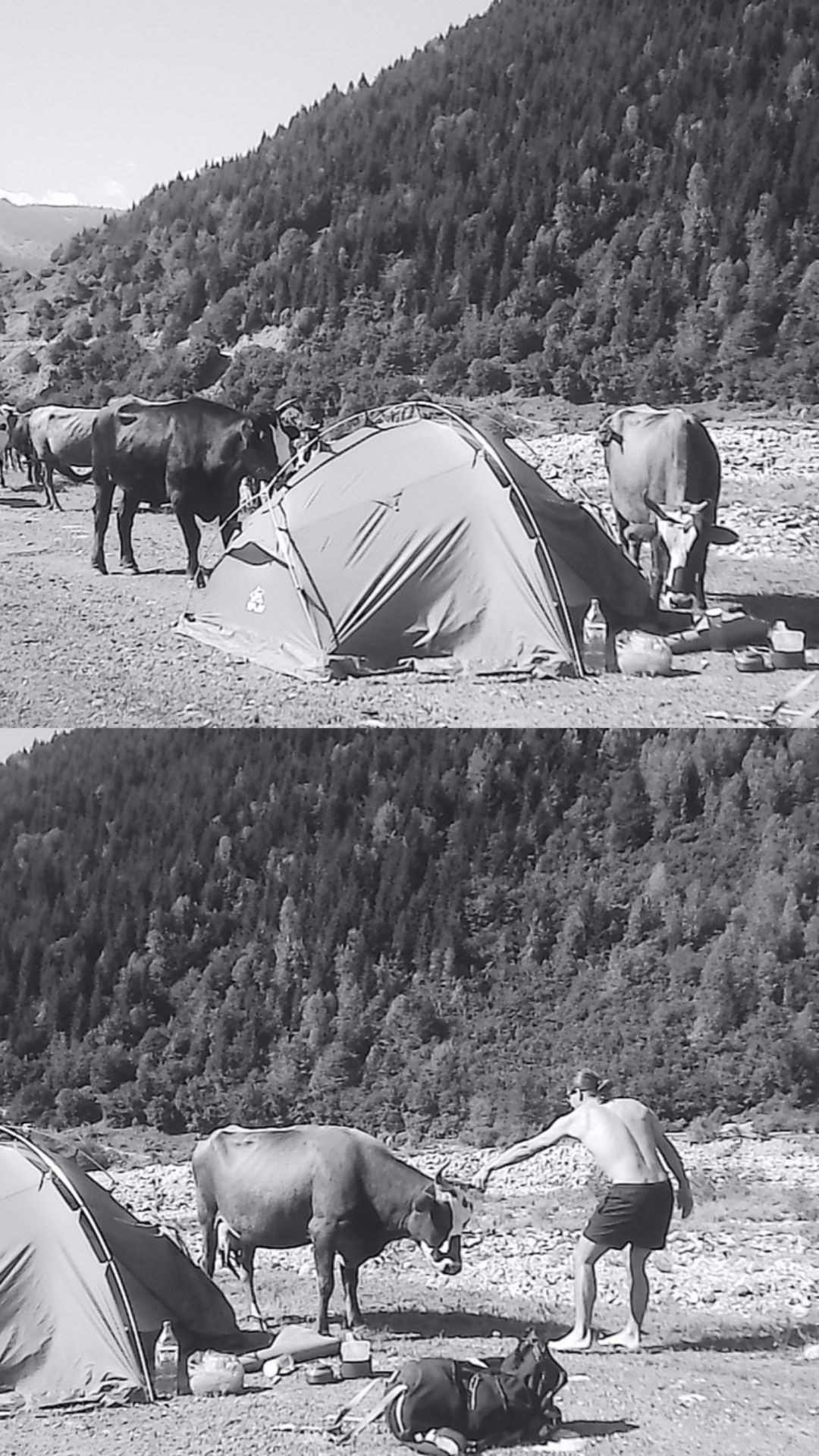 «Крошка 🐣». Anita_photo