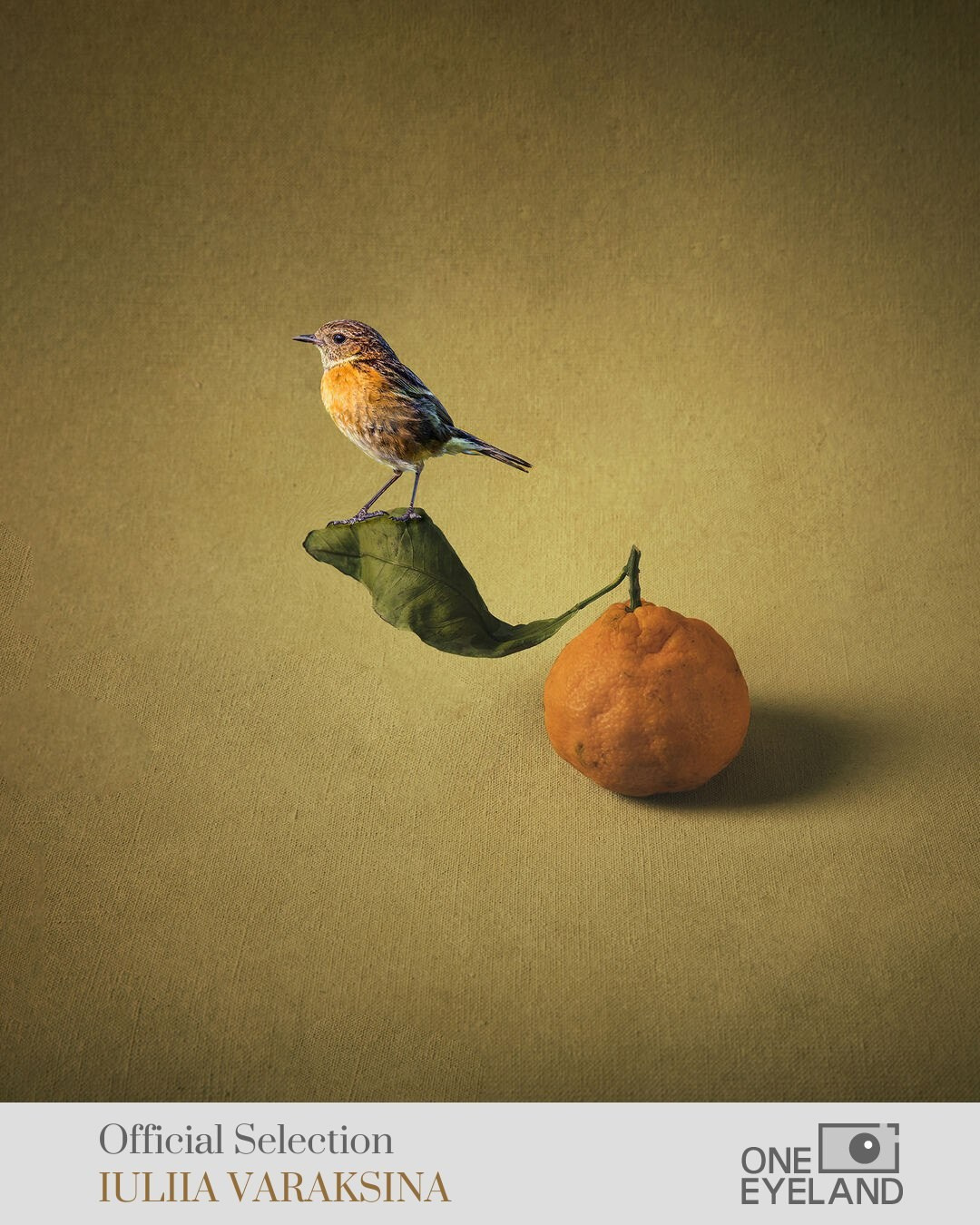 Мои успехи. Файн-Арт фотограф из Перми Вараксина Юлия