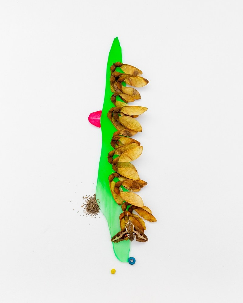 Острые предметы. Фотографии Саши Любина