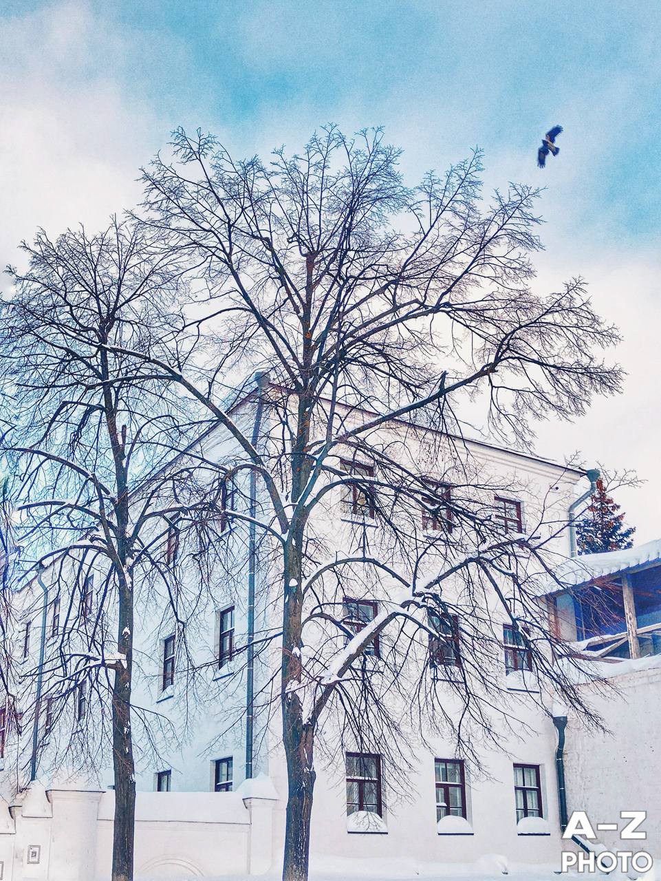 #ФОТОНЕДЕЛИ 15.02.2026. Женский семейный фотограф Тула Москва Захарова Анна