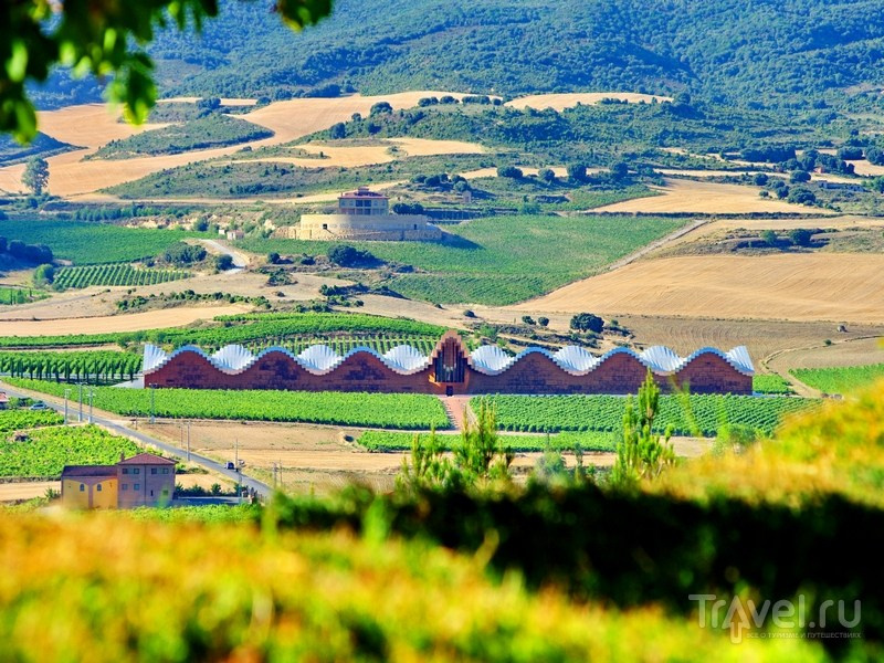 Bodegas Ysios (Испания). Фотограф для маркетплейсов Михаил Бове