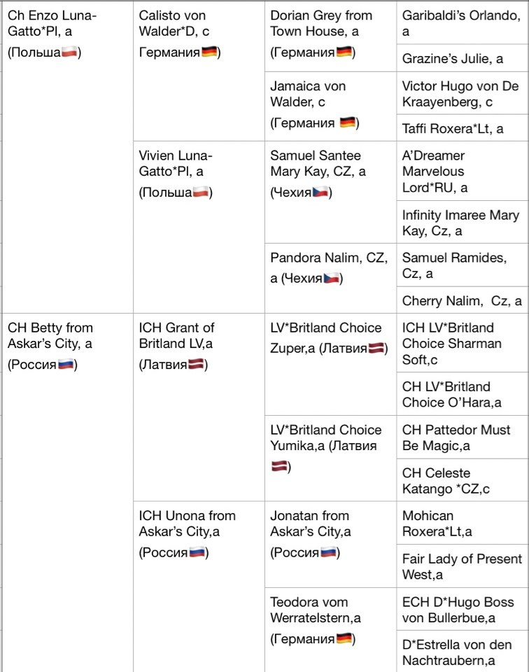 Malvina. Mauna Gastonia