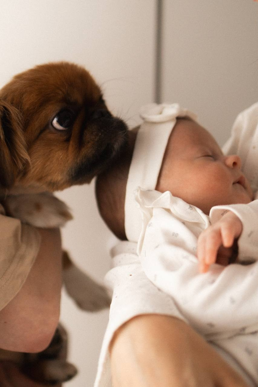 Новорожденные. Смирнова Алена Фотограф Екатеринбург