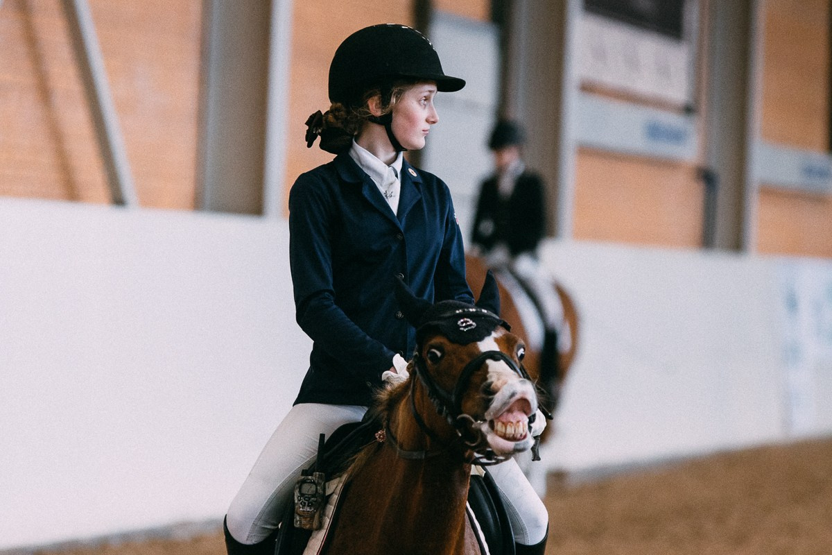 Выездка КСК «Дерби». Репортажный и семейный фотограф в Санкт-Петербурге Тарас Марченко