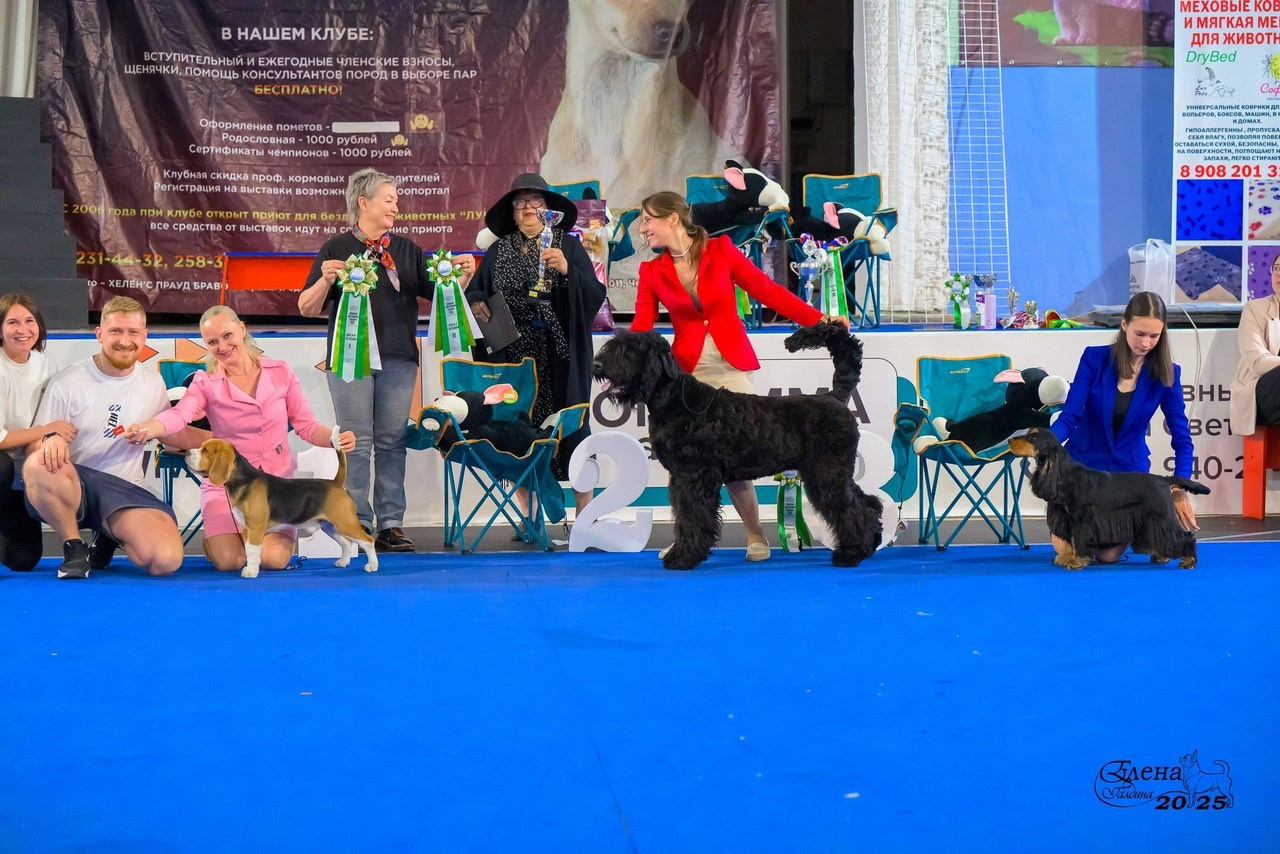 Отзывы. Фотограф анималист Елена Галдина г. Красноярск