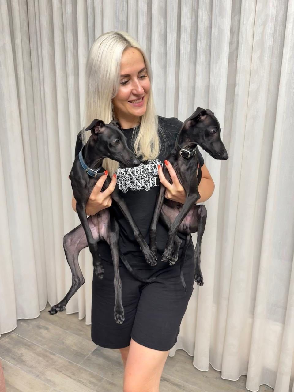 Профессиональный питомник левреток РКФ/FCI ASTI SAPPHIRE 💎 Сочи|Санкт-Петербург