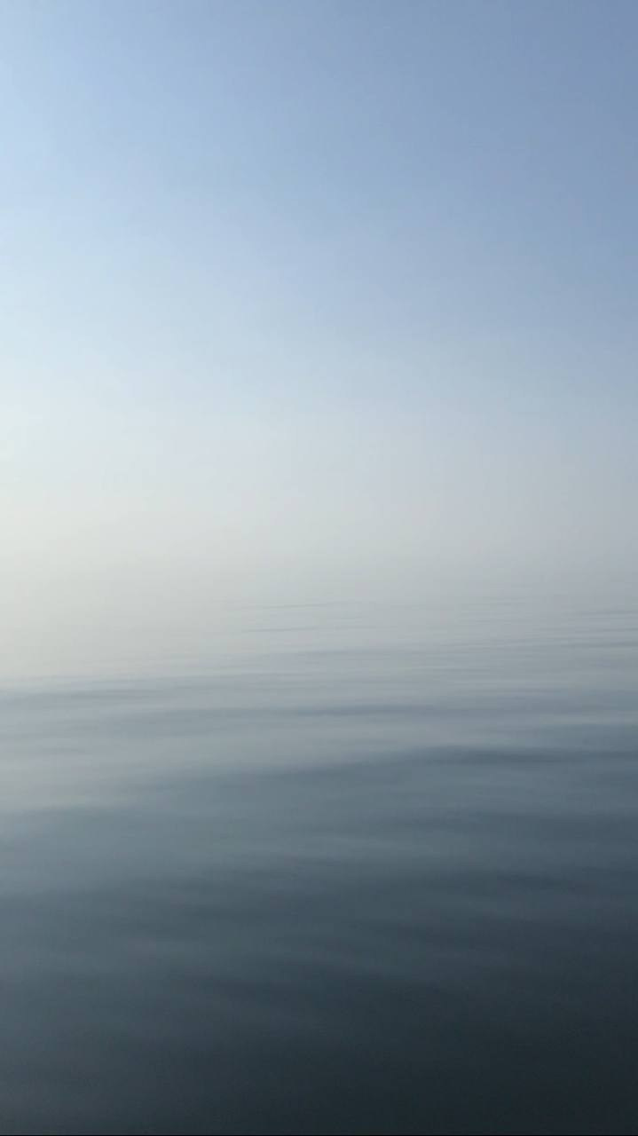 Автор: Анастасия Шкулепа