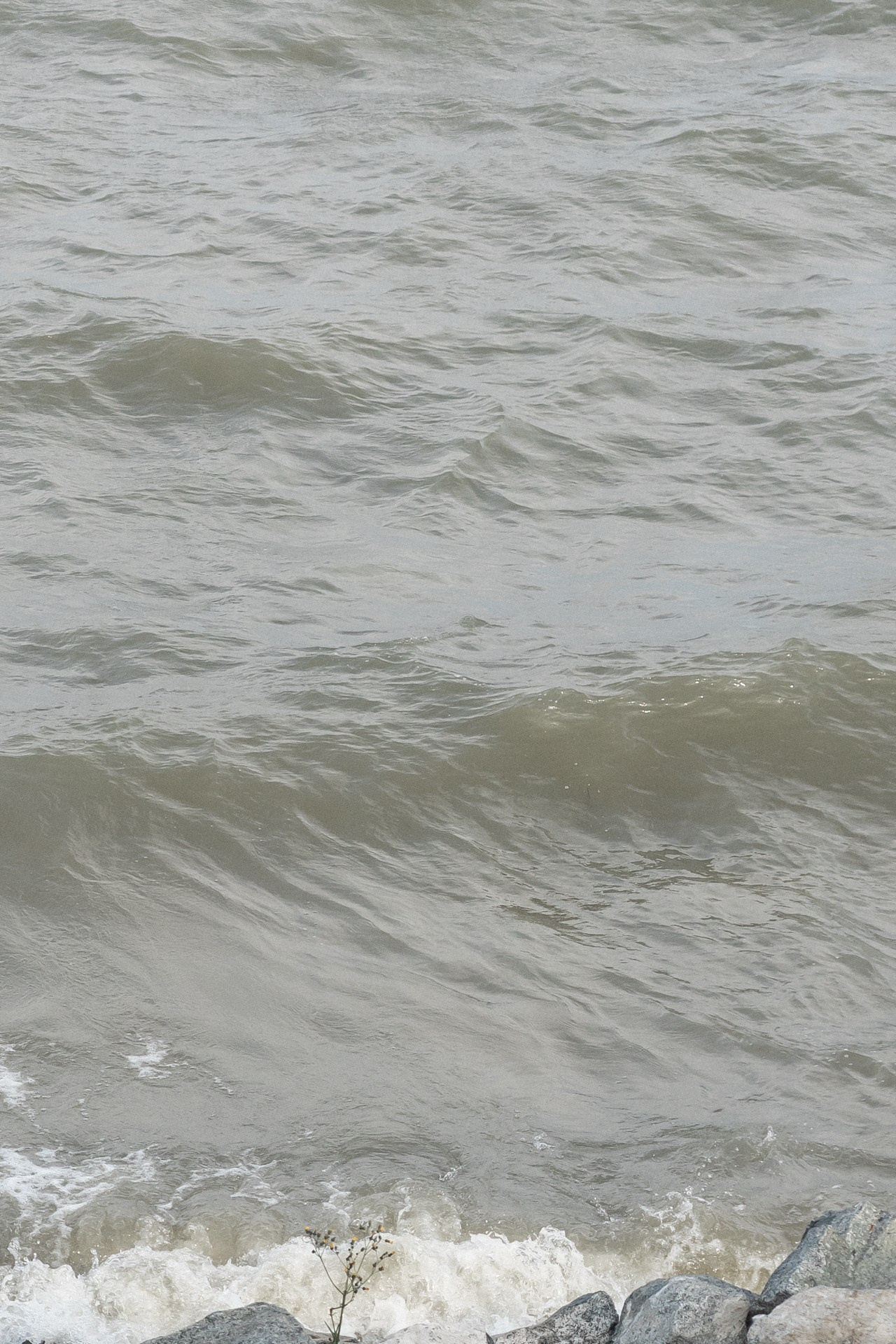 Светлана и Александр (свадебный репортаж). Эстетичная фото- и видеосъёмка Ирина Арсентьева. Челябинск и весь мир