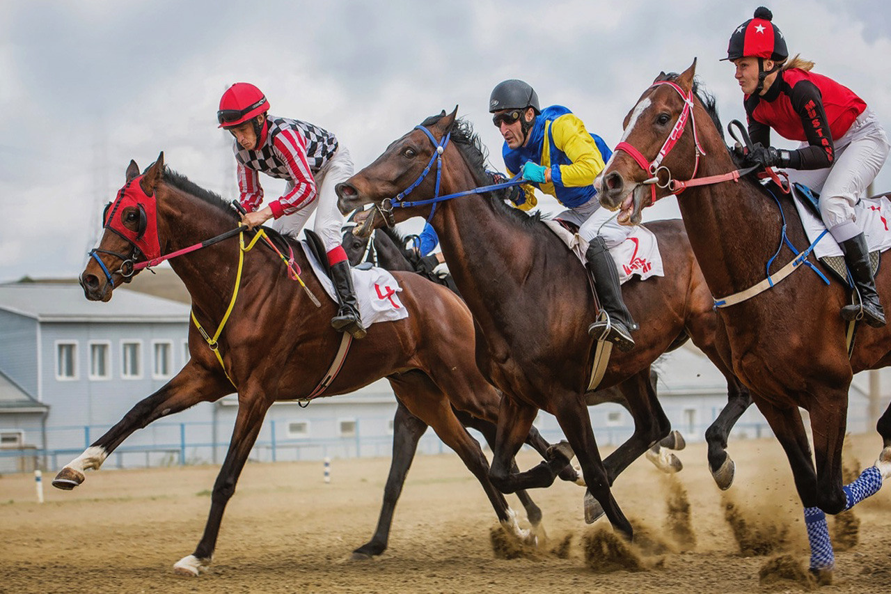 Услуги. Конный фотограф в Красноярске — Любовь Похабова
