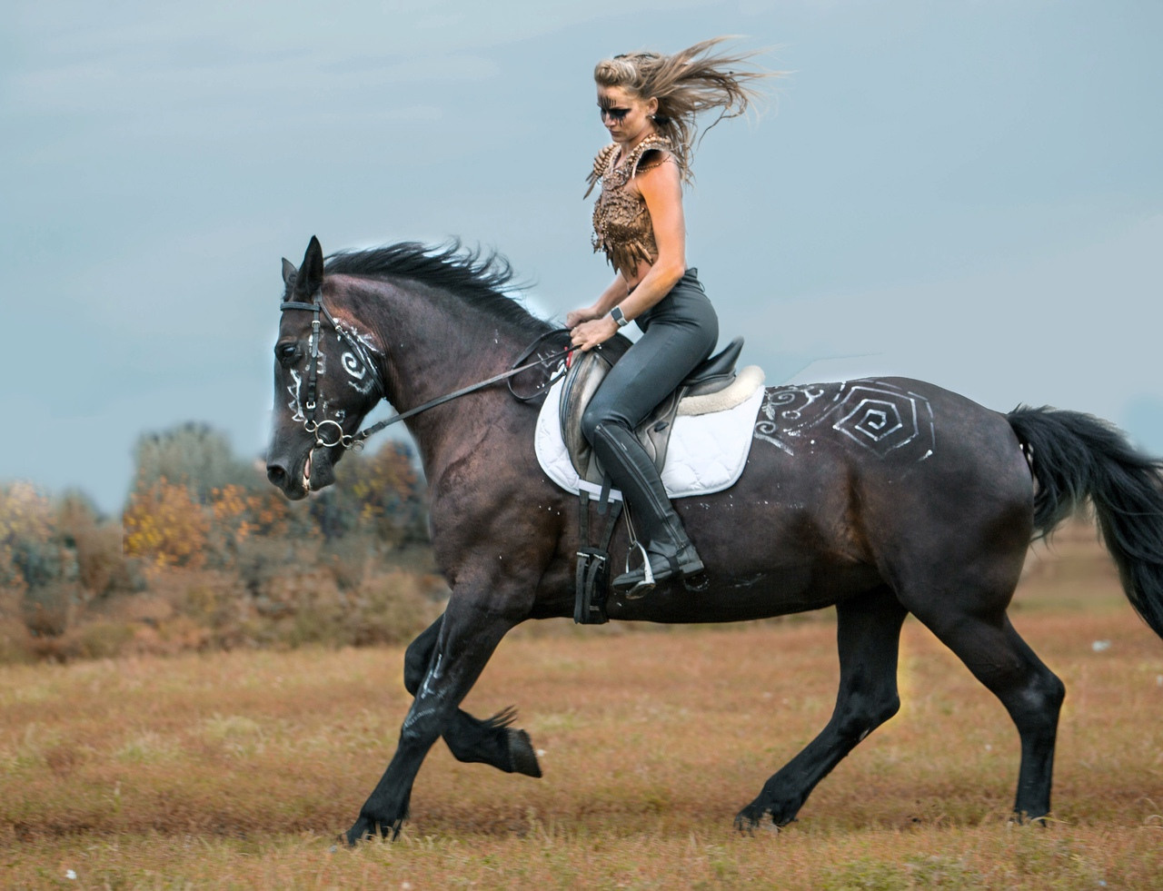 Красноярский ип-м. Конный фотограф в Красноярске — Любовь Похабова