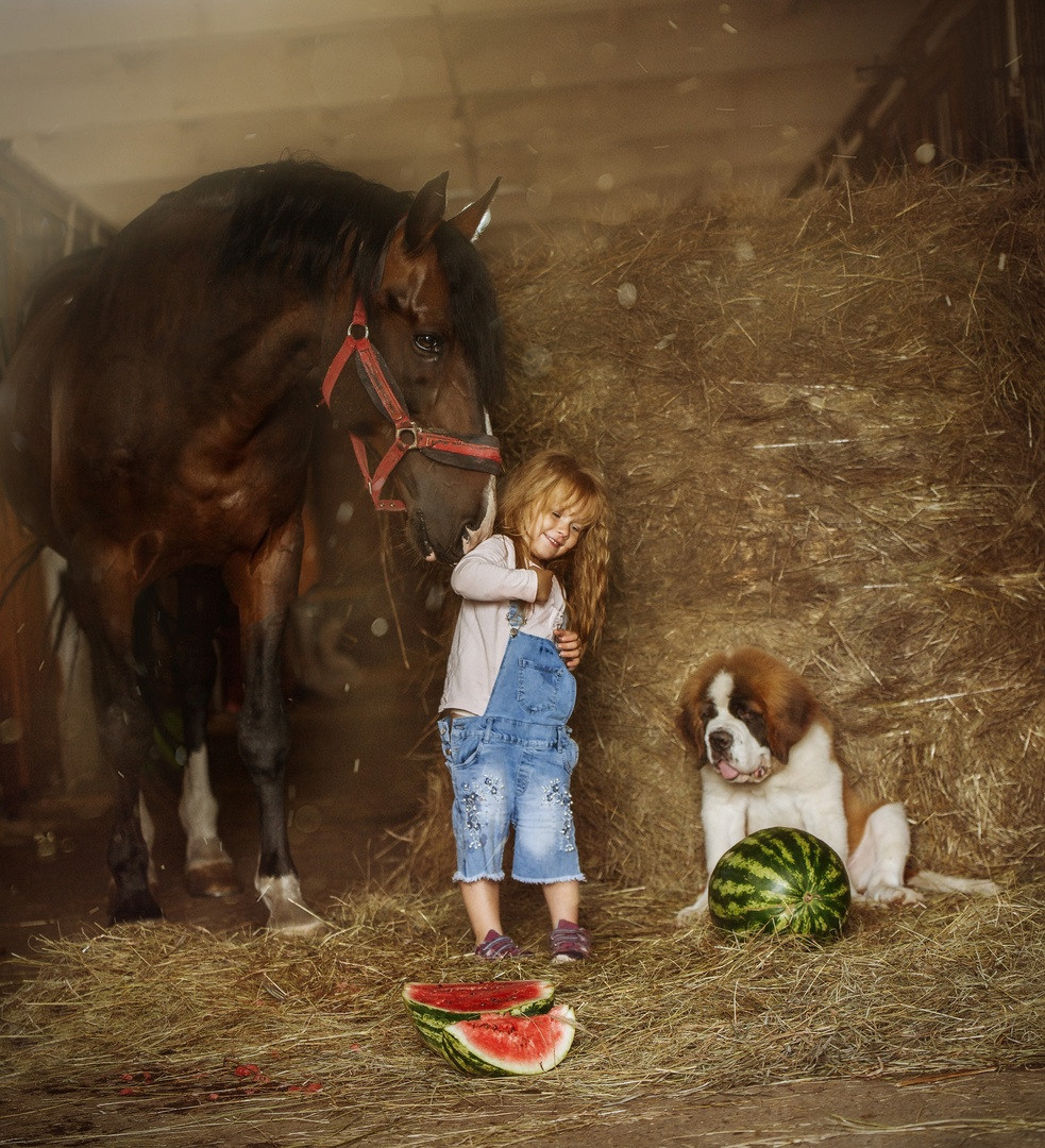 Красноярский ип-м. Конный фотограф в Красноярске — Любовь Похабова
