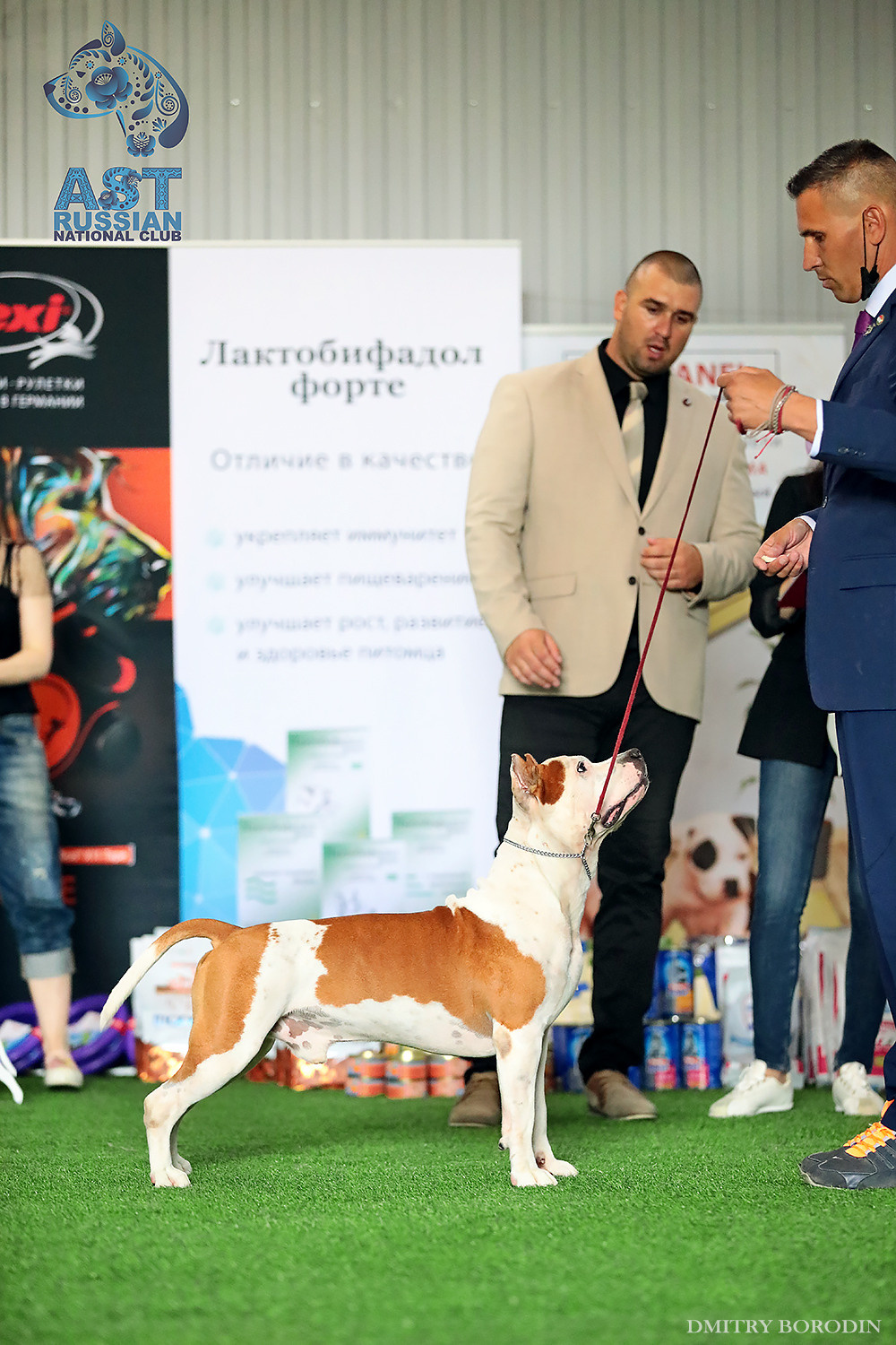 02-03.07.2021 Moscow, 25th AST Russian National Specialty. Ph Dmitrii Borodin