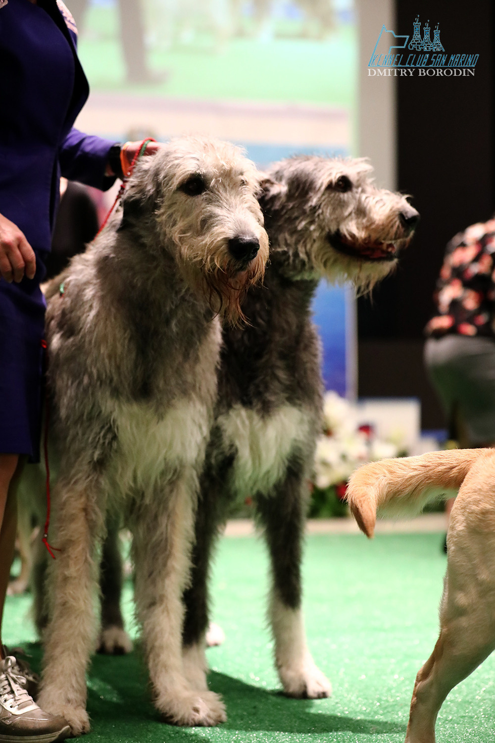 20-21-22.05.2022 IDS San Marino. Фотограф Дмитрий Бородин