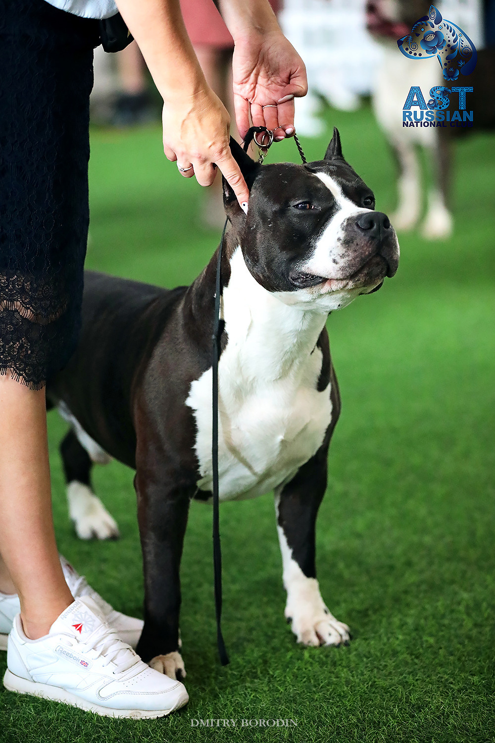 02-03.07.2021 Moscow, 25th AST Russian National Specialty. Ph Dmitrii Borodin