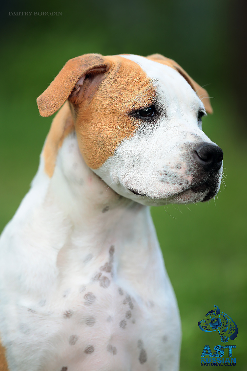 02-03.07.2021 Moscow, 25th AST Russian National Specialty. Ph Dmitrii Borodin