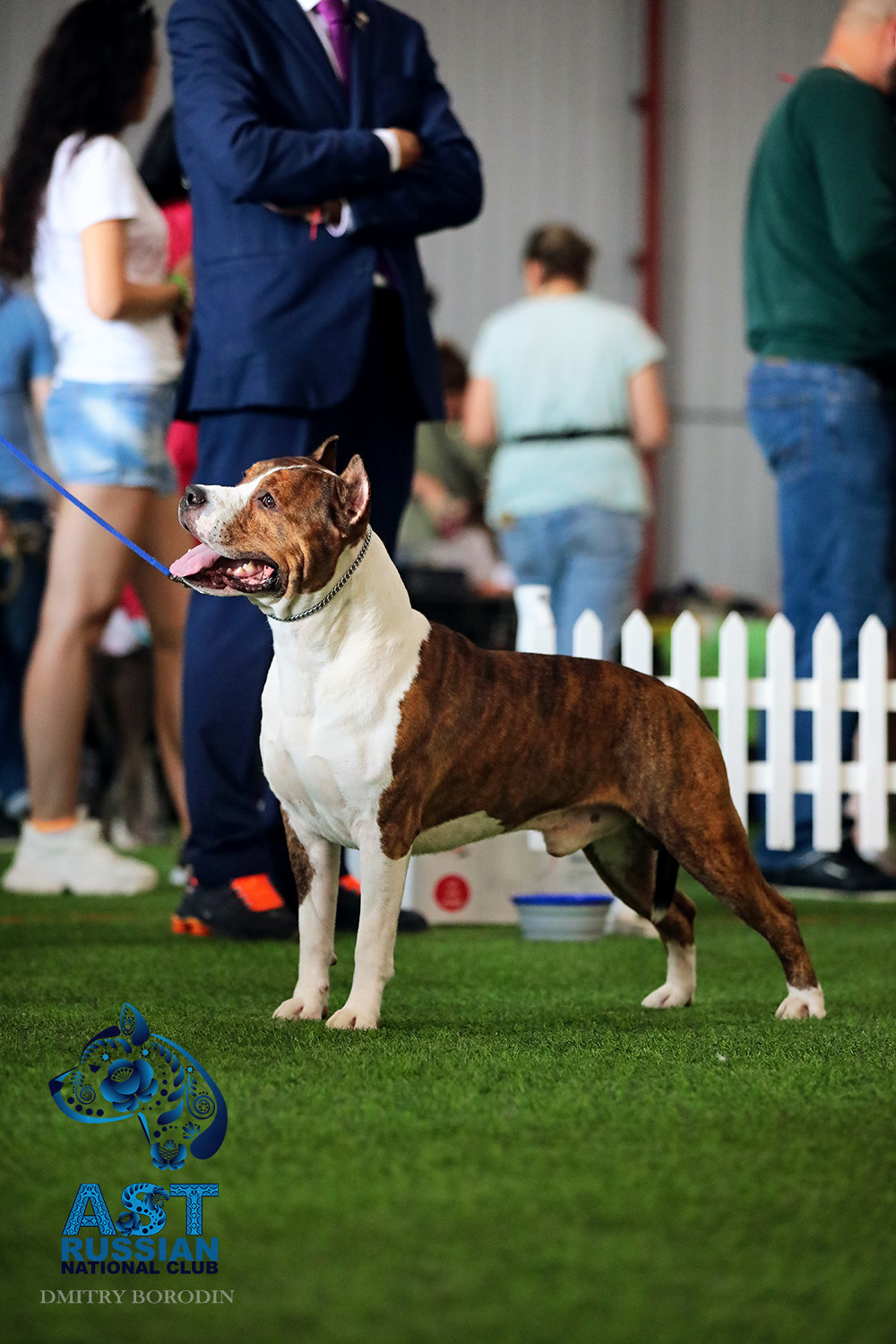 02-03.07.2021 Moscow, 25th AST Russian National Specialty. Ph Dmitrii Borodin