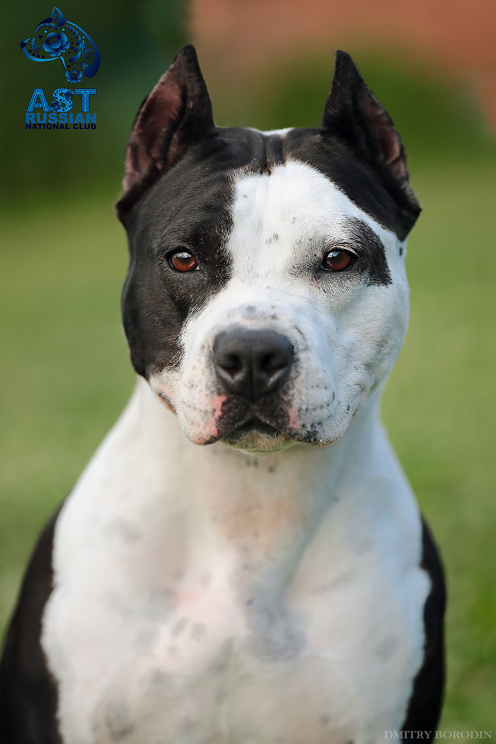 02-03.07.2021 Moscow, 25th AST Russian National Specialty. Ph Dmitrii Borodin