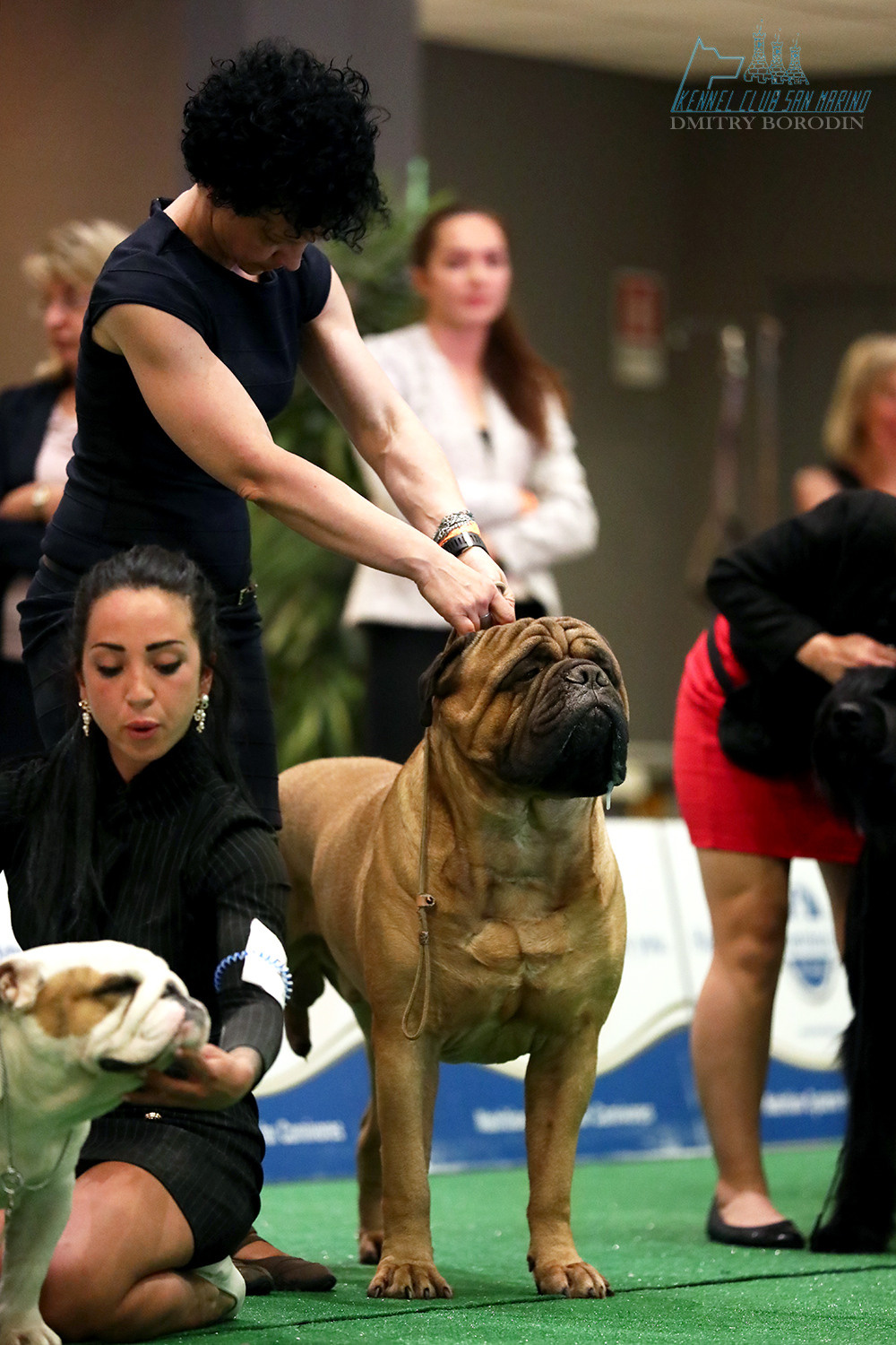 20-21-22.05.2022 IDS San Marino. Фотограф Дмитрий Бородин