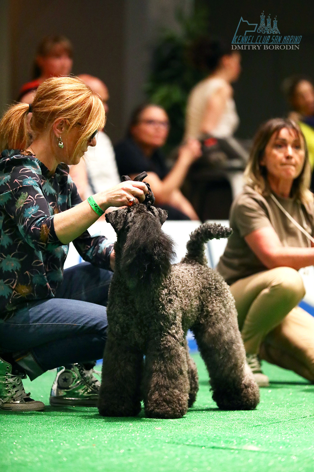 20-21-22.05.2022 IDS San Marino. Фотограф Дмитрий Бородин