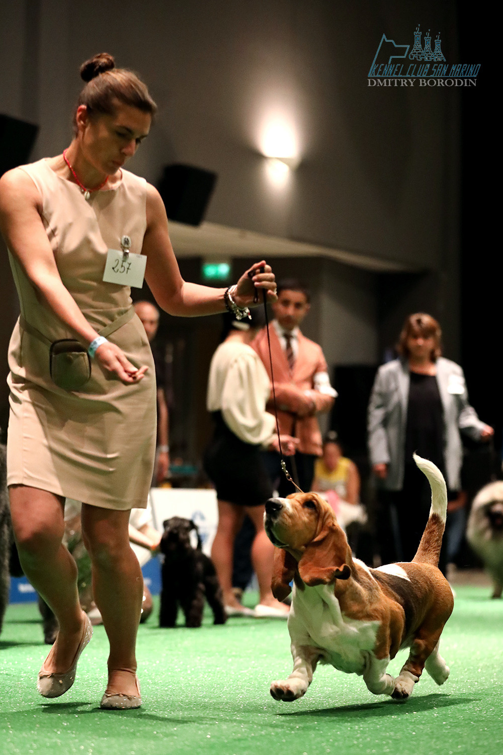 20-21-22.05.2022 IDS San Marino. Фотограф Дмитрий Бородин