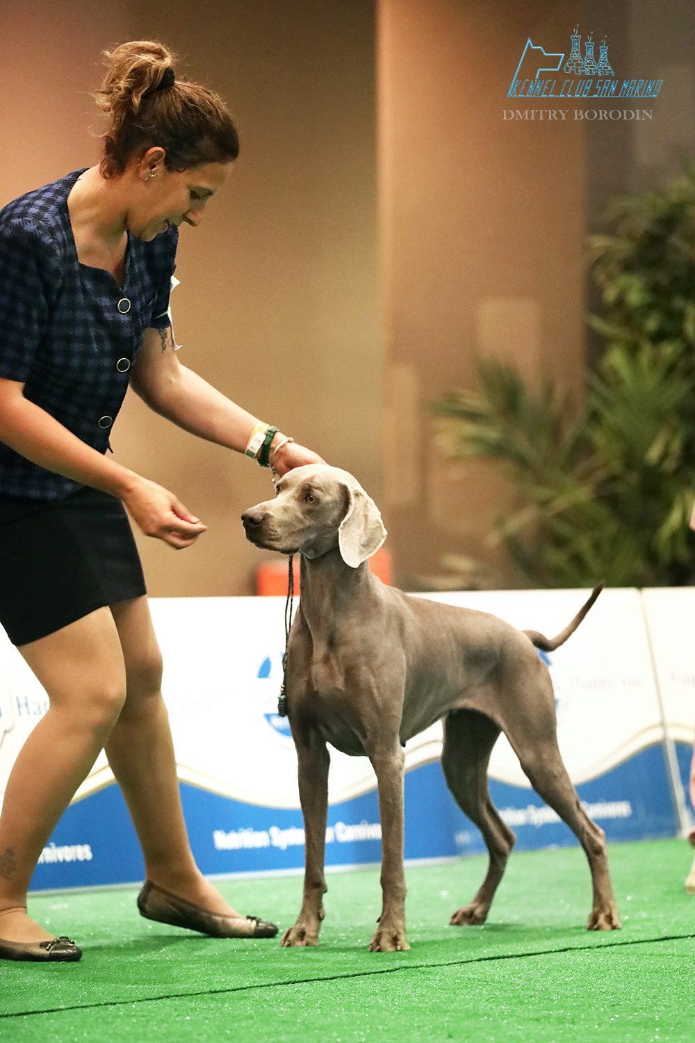 20-21-22.05.2022 IDS San Marino. Фотограф Дмитрий Бородин