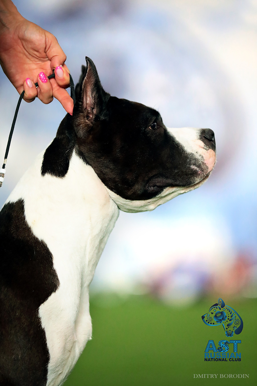 02-03.07.2021 Moscow, 25th AST Russian National Specialty. Ph Dmitrii Borodin