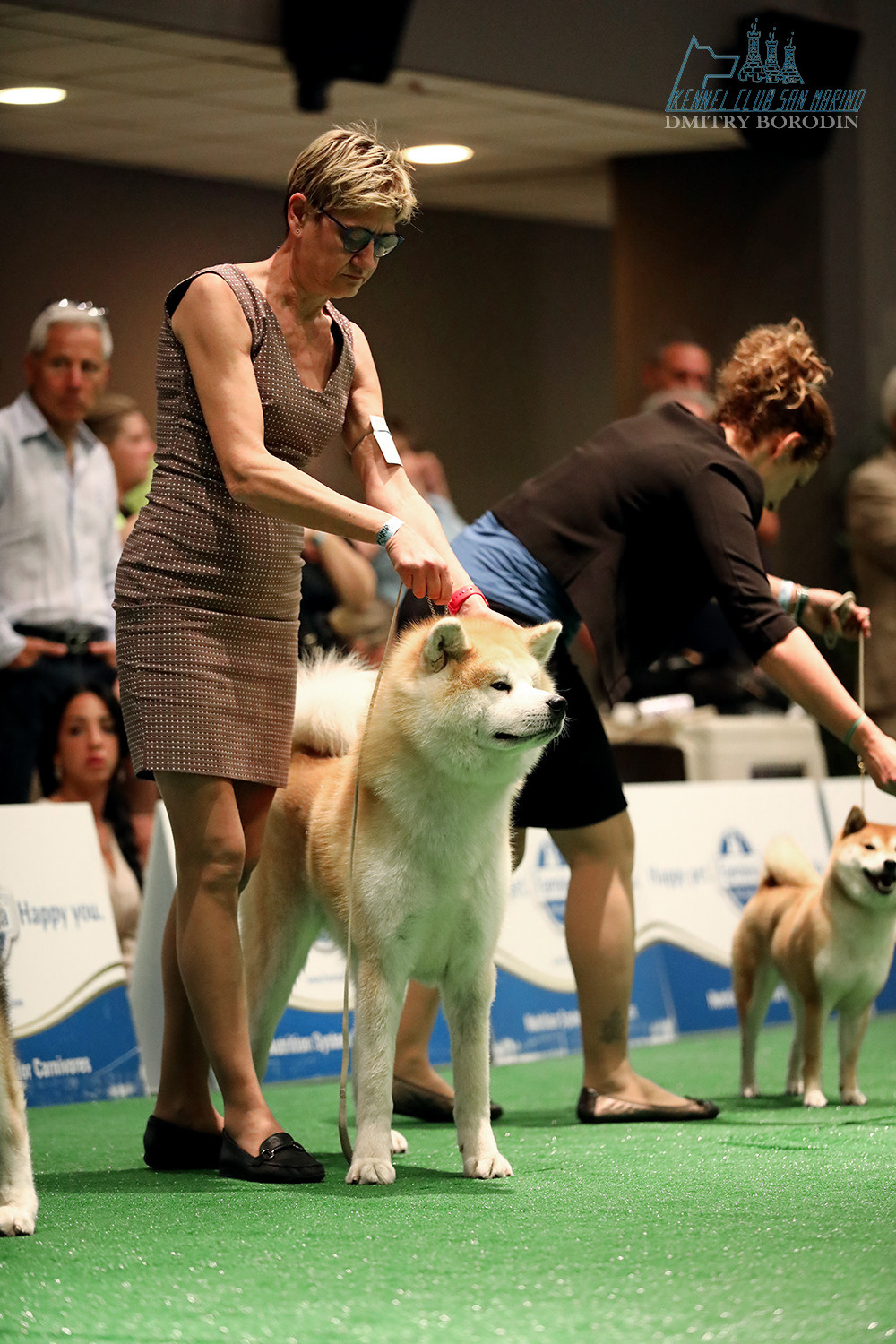 20-21-22.05.2022 IDS San Marino. Фотограф Дмитрий Бородин