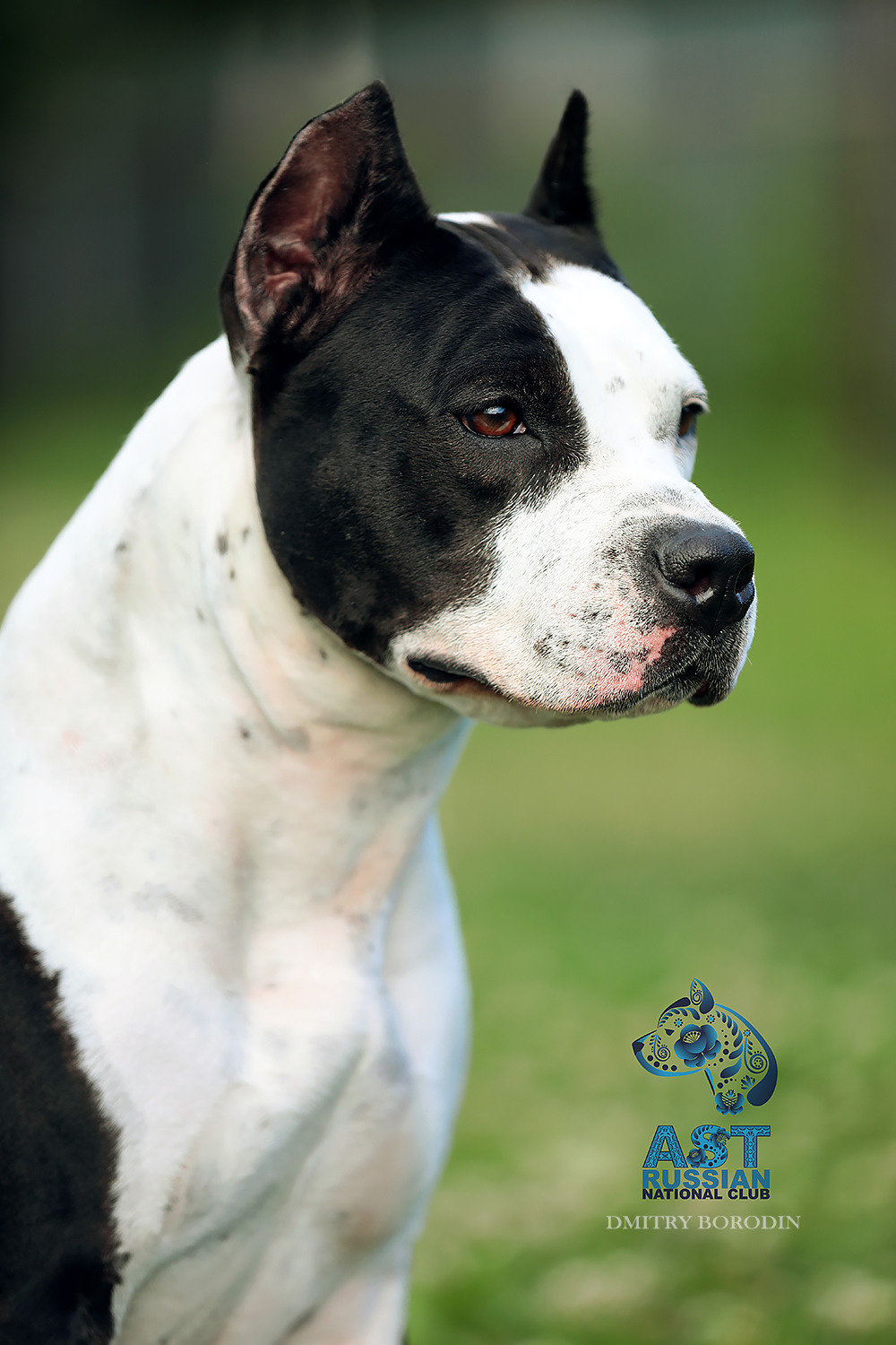 02-03.07.2021 Moscow, 25th AST Russian National Specialty. Ph Dmitrii Borodin