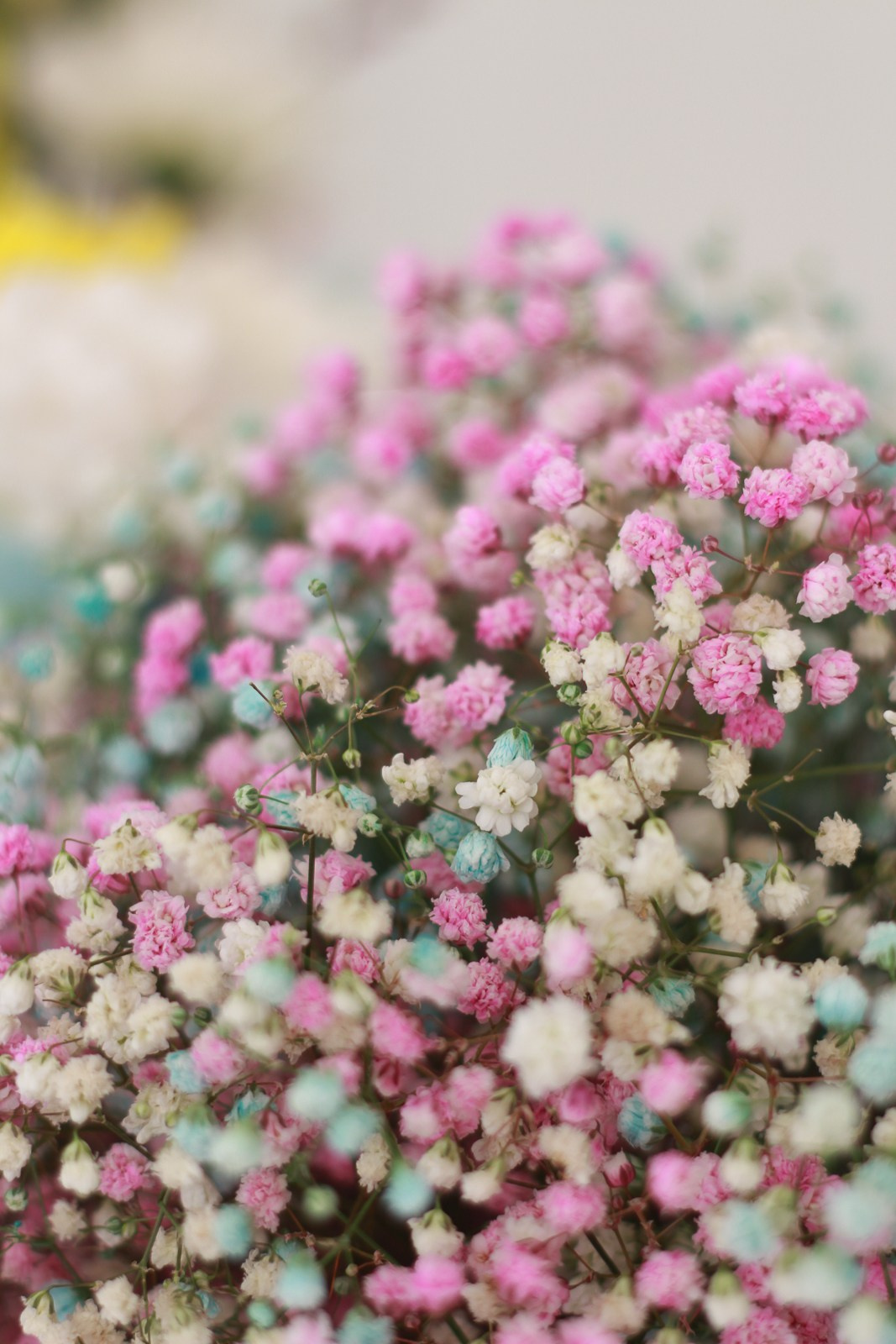 Выездное день рождение. Фотограф Надршина Лилия