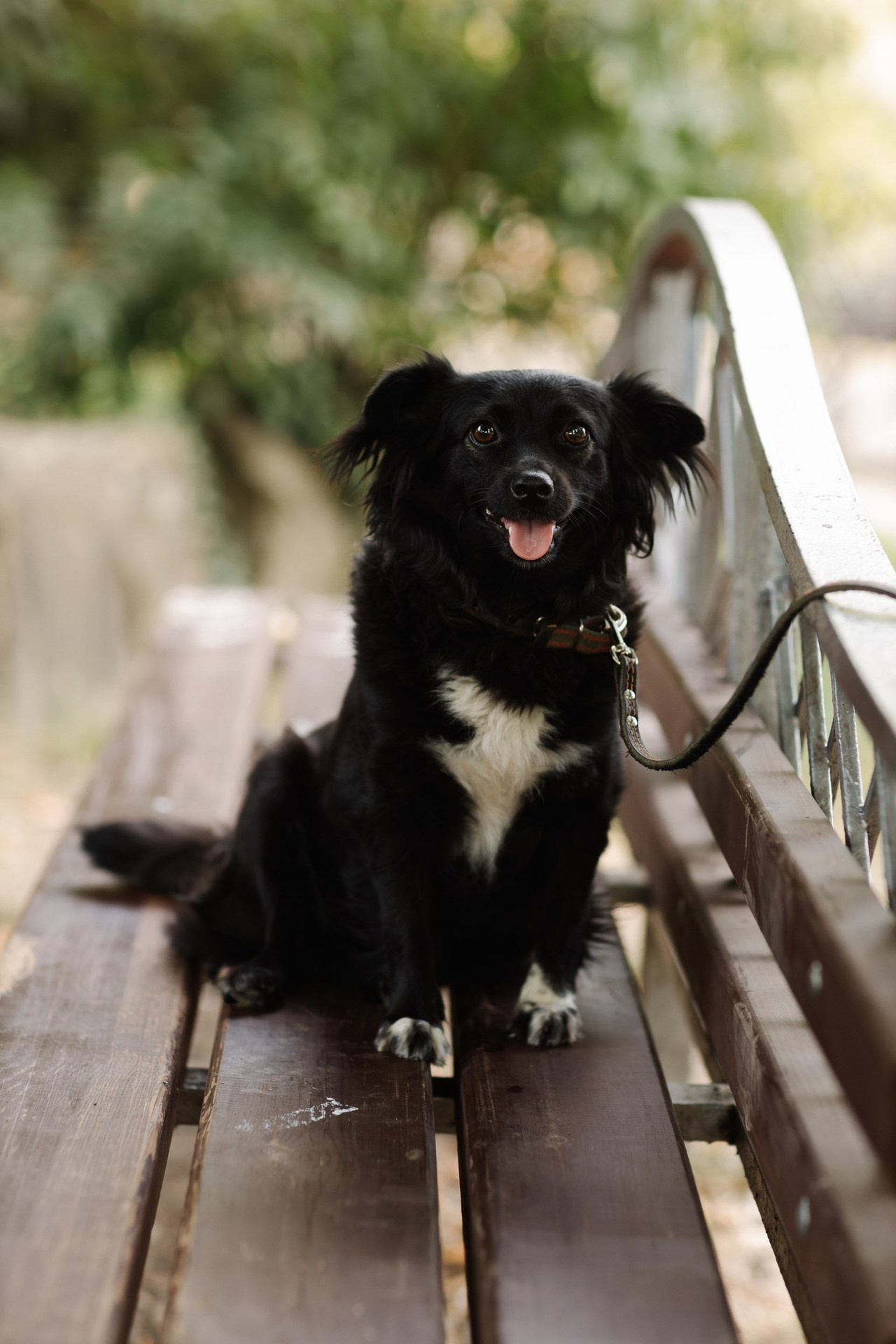 Отзывы. Фотограф новорожденных и семей Туапсе Краснодарский край Анна Альтман