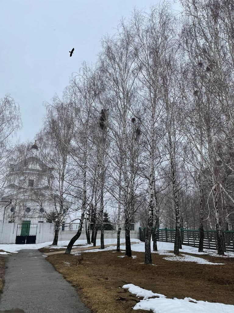 Рязань | 02 — 03.04.2022. Галерея Фантим