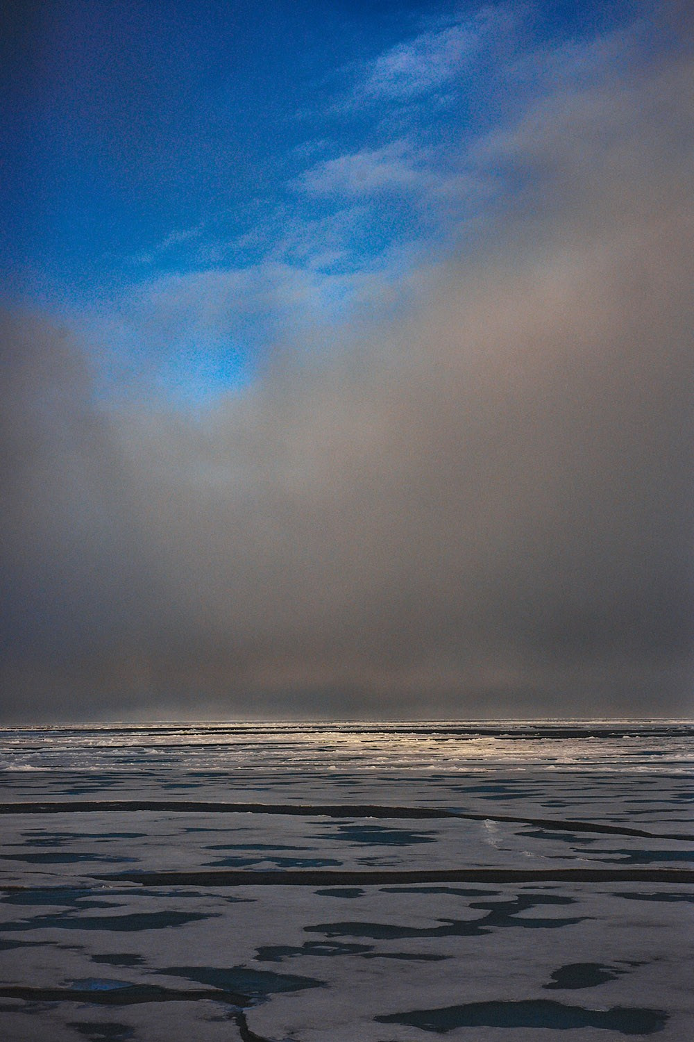 Сони. Международная онлайн-фотошкола Сергея Рожнова