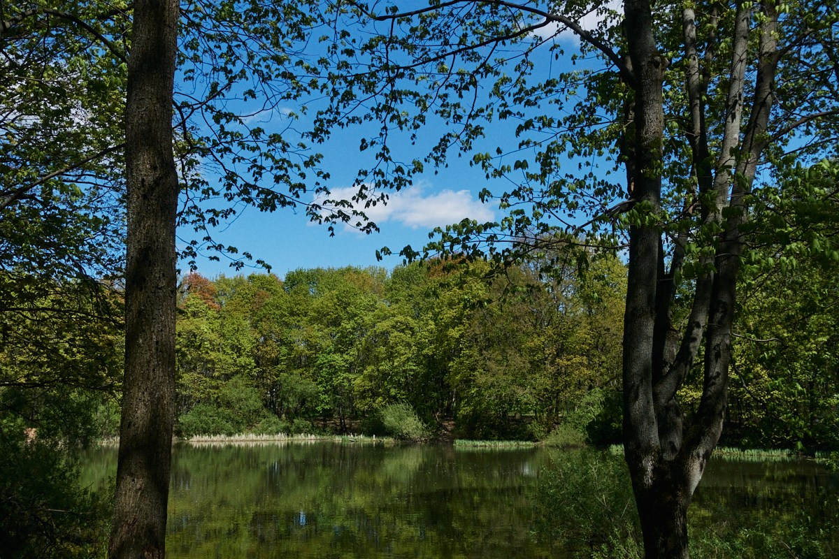 Хорошо голову не потерял. Иван Кобяков