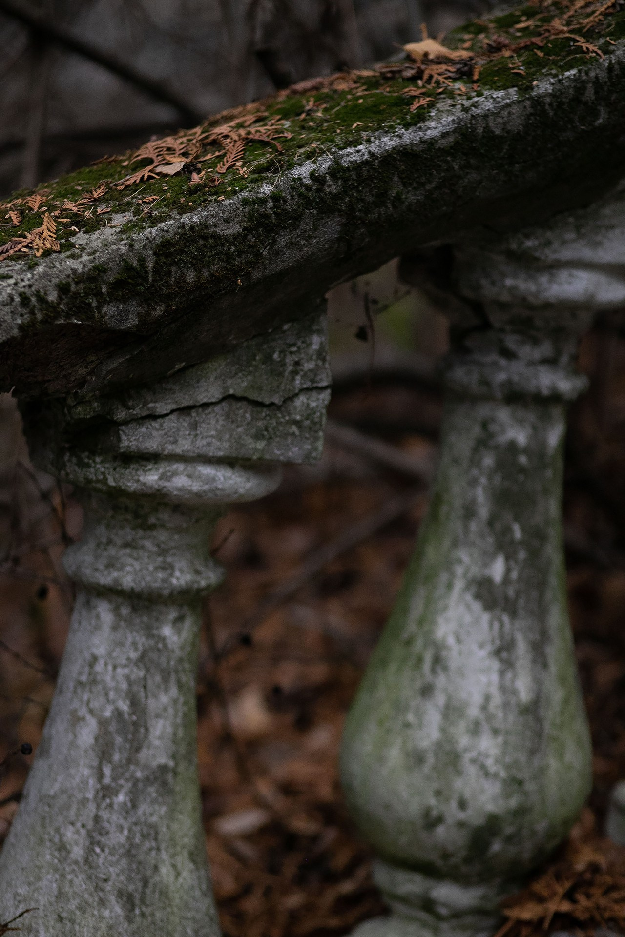 Мария. Прогулка. Художественная винтажная фотография