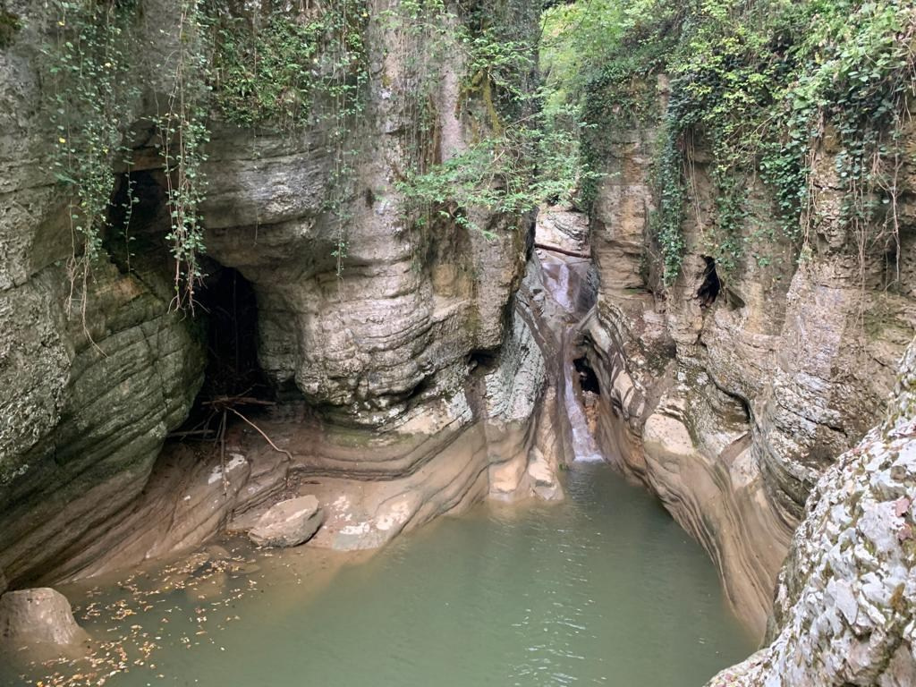 Сочи | 05-06.10.2019. Галерея Фантим