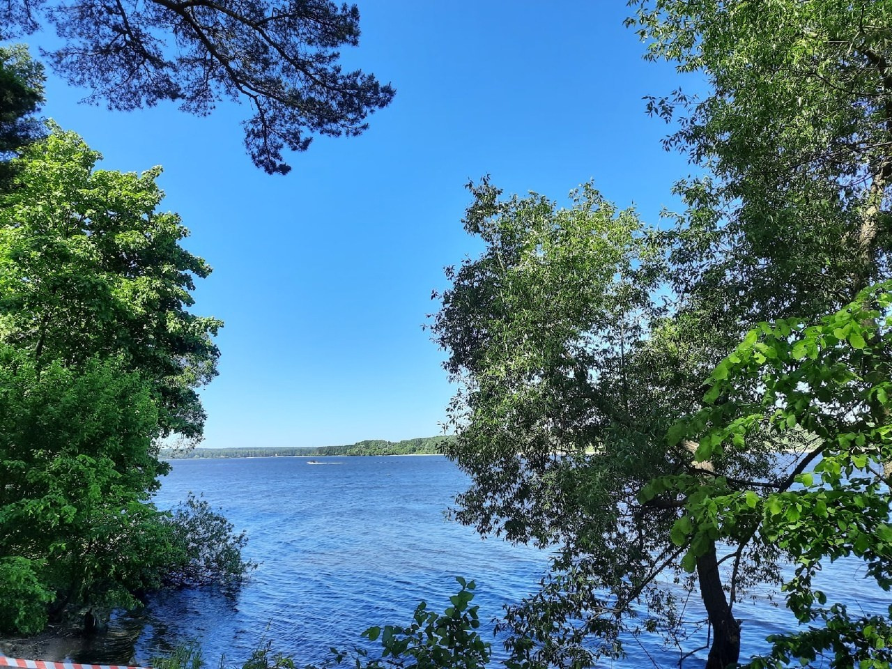 Пятница! | 2021. Галерея Фантим