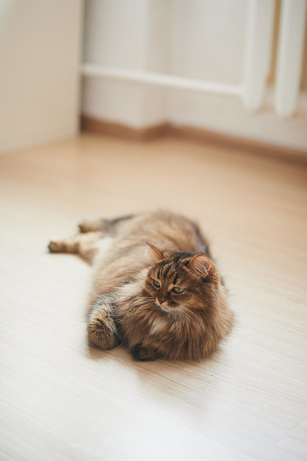 Один день маленького Миши. Портретный фотограф в Санкт-Петербурге