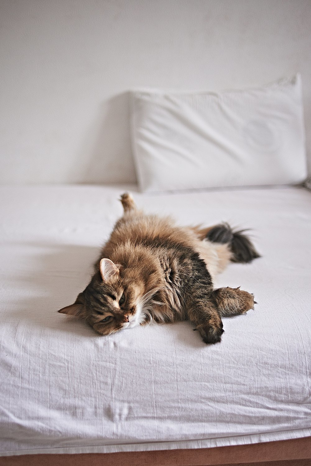 Один день маленького Миши. Портретный фотограф в Санкт-Петербурге